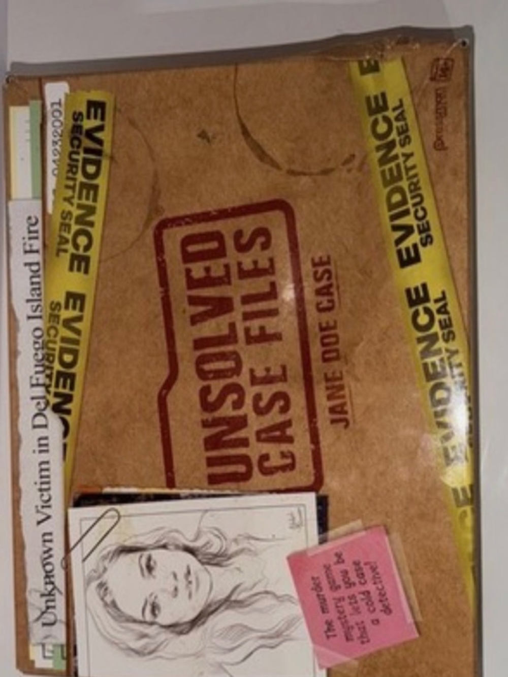 Unsolved Case Files game